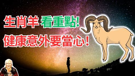 羊五行|生肖羊五行屬什麼？揭秘羊羊們的個性與命運！｜魔幻水